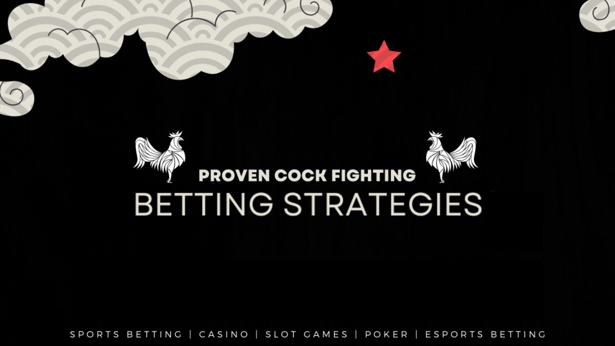 ubet95-cockfight-betting-strategies-cover-ubet95