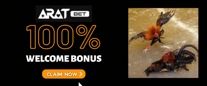 Aratbet 100% Deposit Bonus - Excellent online cock betting