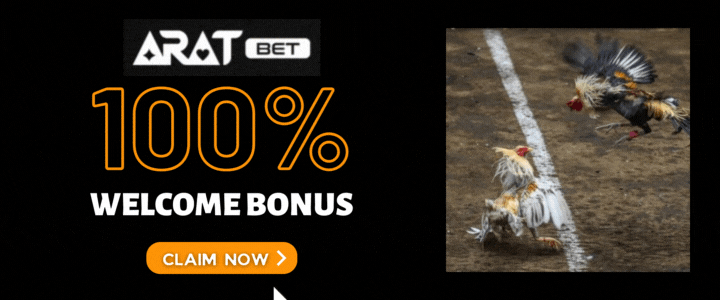 Aratbet 100% Deposit Bonus - Traditional cockfighting culture
