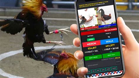 Winning Strategies for Ubet95 Cockfighting - Ubet95