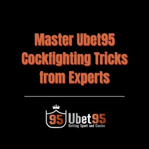 Master Ubet95 Cockfighting Tricks from Experts - Ubet95